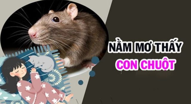 Nằm mơ thấy chuột là điềm báo gì và con số may mắn trong lô đề