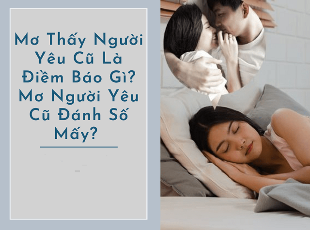 Mơ thấy người yêu cũ đánh con gì?