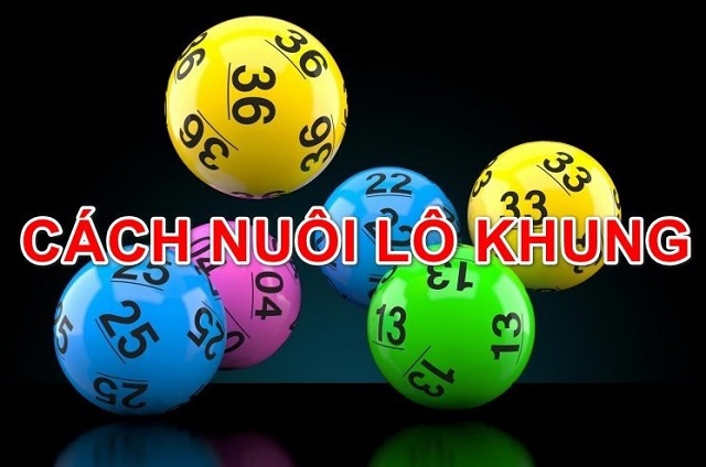Những lưu ý khi nuôi lô khung là gì?