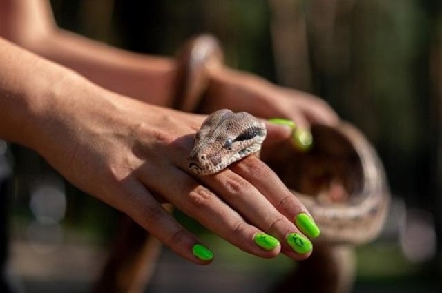 Mơ thấy rắn cắn người thân chọn số nào?