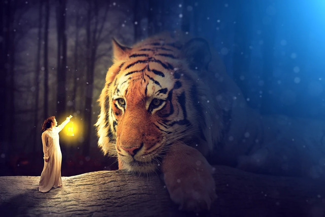 Hình ảnh hổ xuất hiện trong mơ là điềm báo cho điều gì?