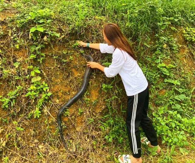 Mơ thấy bắt được rắn có ý nghĩa gì?