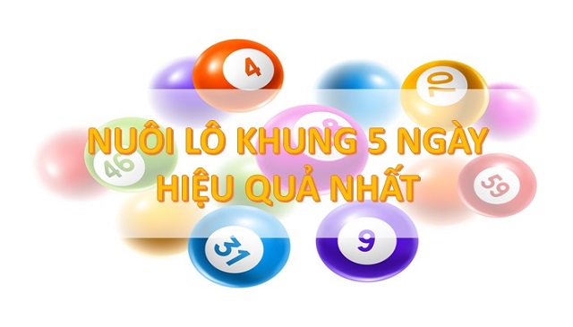 Làm thế nào để nuôi lô song thủ khung 5 ngày hiệu quả?
