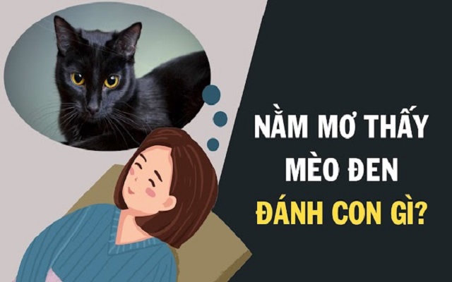 Chiêm bao thấy mèo đen nên chốt con gì