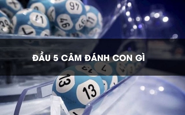 Đầu 5 câm hôm sau đánh con gì Đầu 5 câm hôm sau đánh con gì