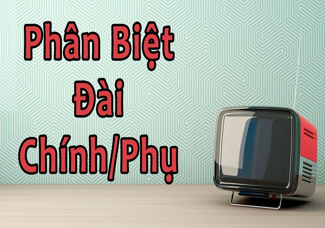 Tiêu chí phân biệt nhà đài chính và nhà đài phụ