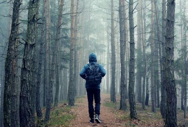 Con số đẹp giúp bạn phát tài khi mơ thấy hình ảnh về rừng