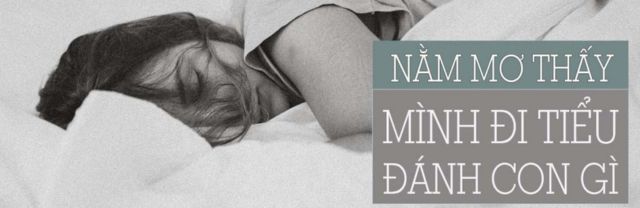 Ý nghĩa giấc mơ thấy đi tiểu thì đánh con gì và mang tới điềm báo gì?