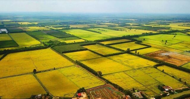 Đa số các giấc mộng thấy mua đất đều được xem là điềm báo lành